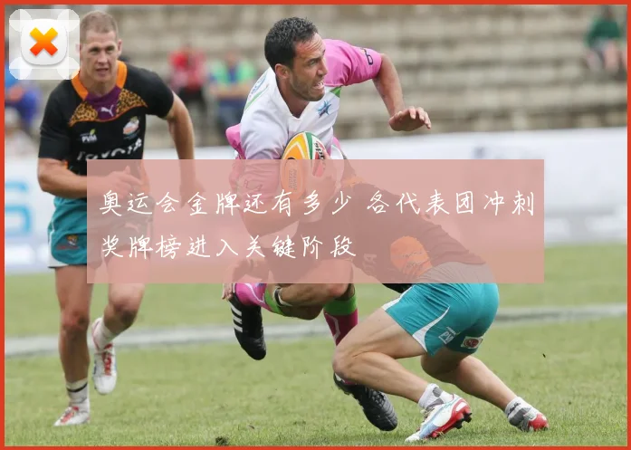 奥运会金牌还有多少 各代表团冲刺奖牌榜进入关键阶段