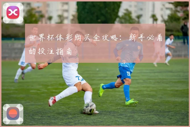 世界杯体彩购买全攻略:新手必看的投注指南