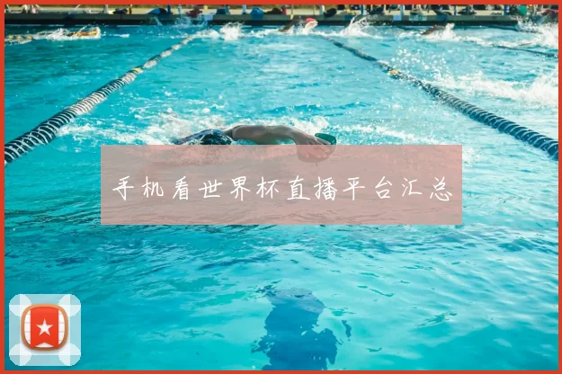 手机看世界杯直播平台汇总