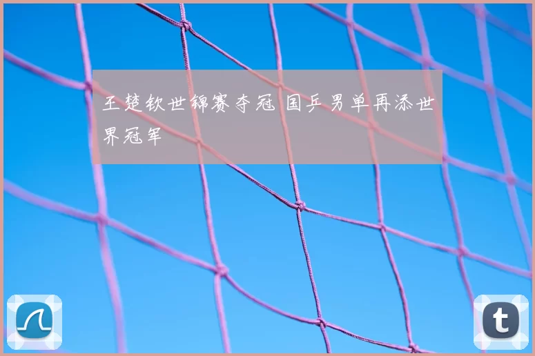 王楚钦世锦赛夺冠 国乒男单再添世界冠军