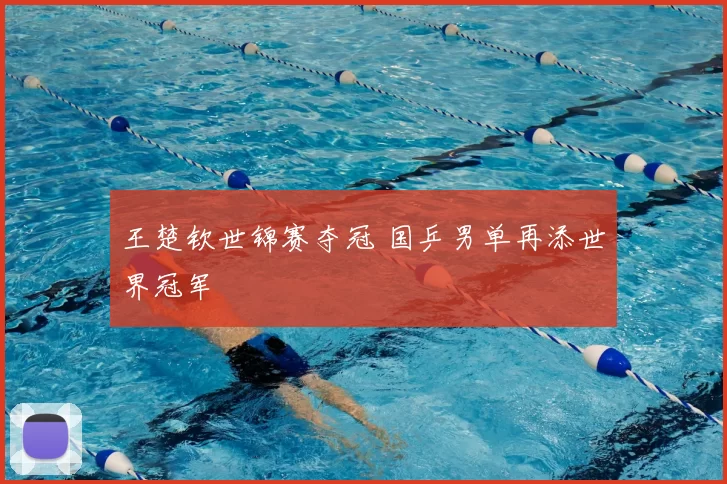 王楚钦世锦赛夺冠 国乒男单再添世界冠军