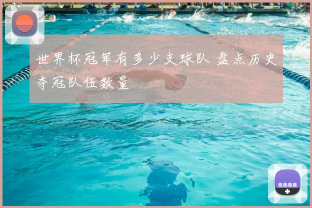 世界杯冠军有多少支球队 盘点历史夺冠队伍数量
