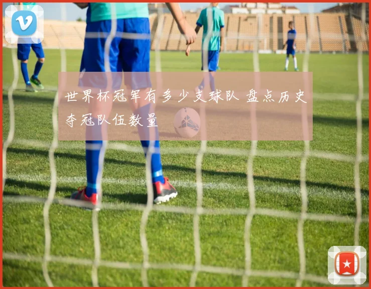 世界杯冠军有多少支球队 盘点历史夺冠队伍数量