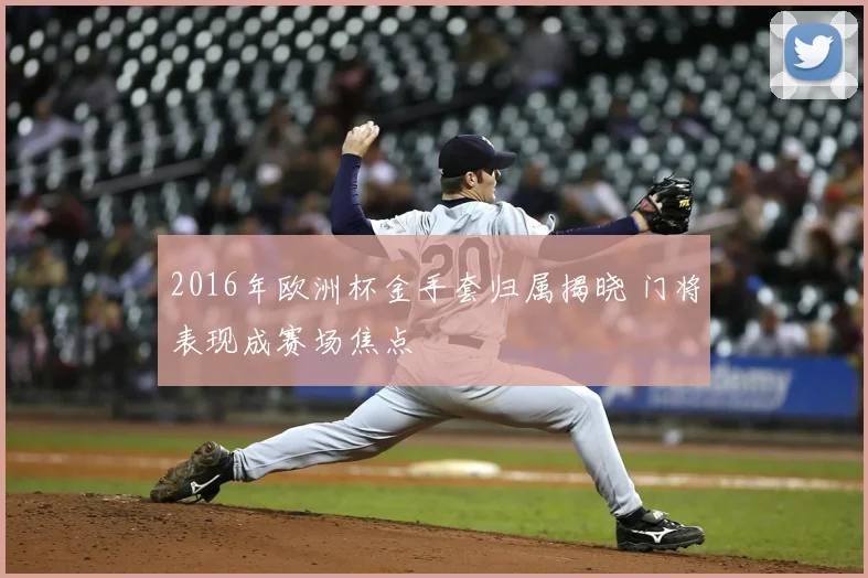 2016年欧洲杯金手套归属揭晓 门将表现成赛场焦点