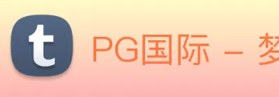 PG国际 - 梦想照进现实，努力成就未来! logo